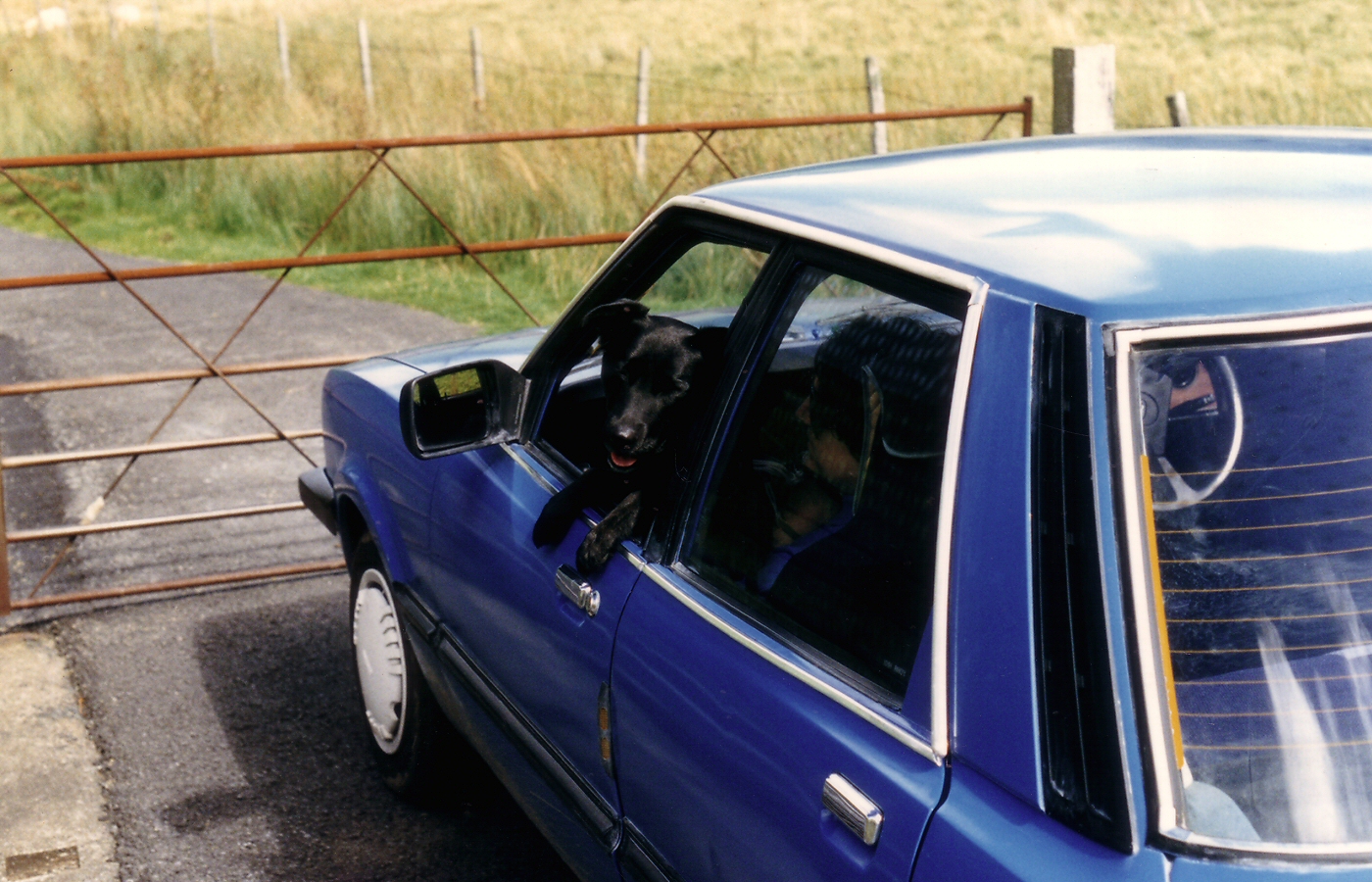 * Classic Cymru - Gated road - Bronaber to Llanuwchllyn (by AJW) *