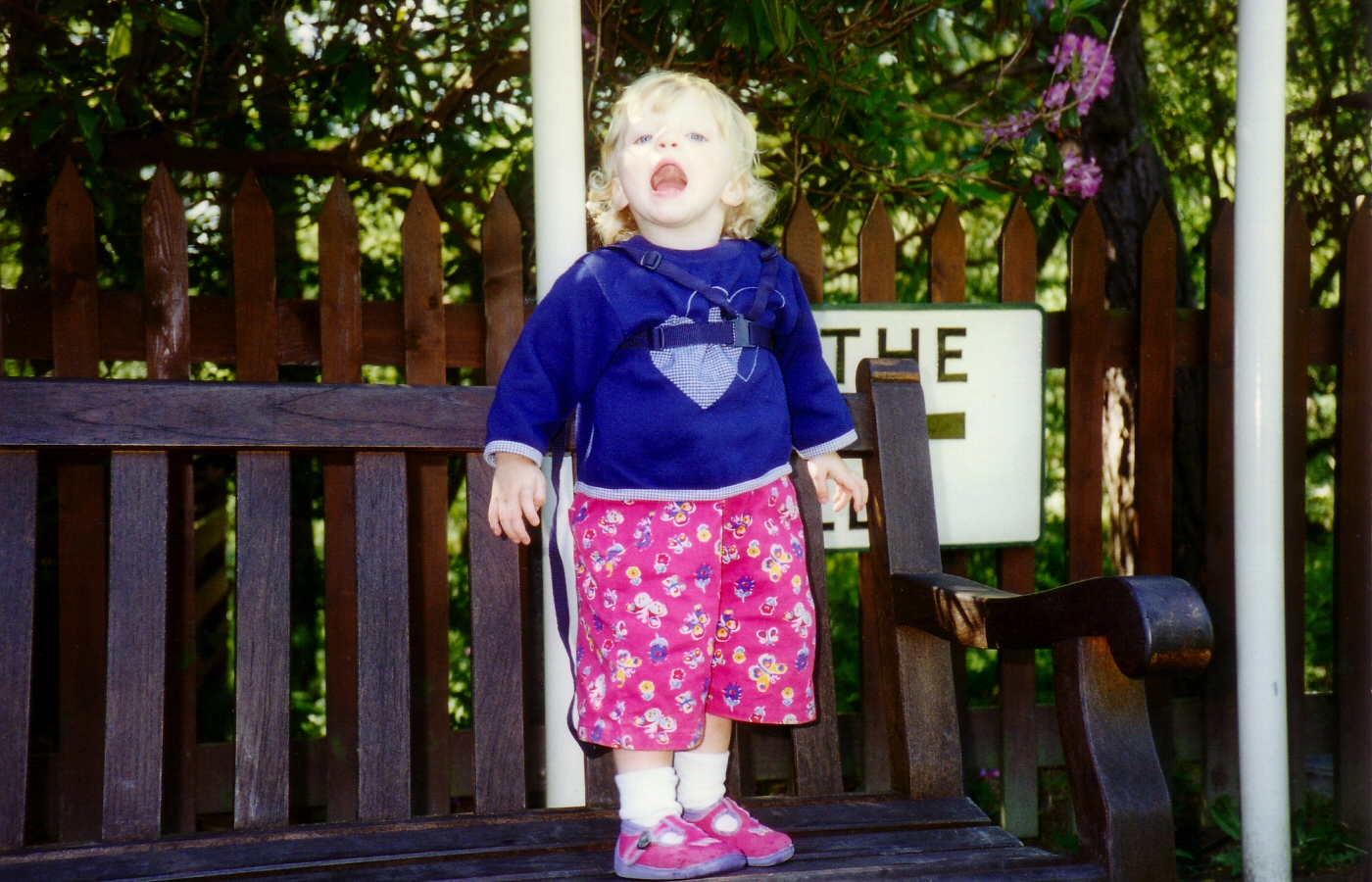* Classic Cymru - Talyllyn Railway - Helen atDolgoch Falls station (by AJW) *