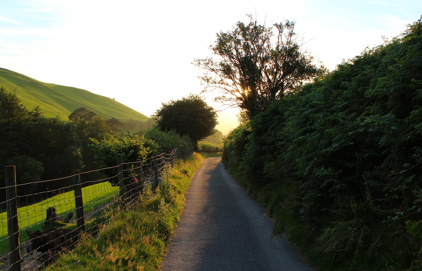 * Rhydyronen (by AJW) *