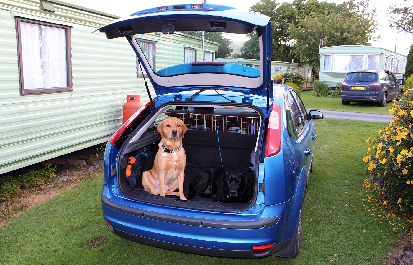 * Tynllwyn (by AJW) *