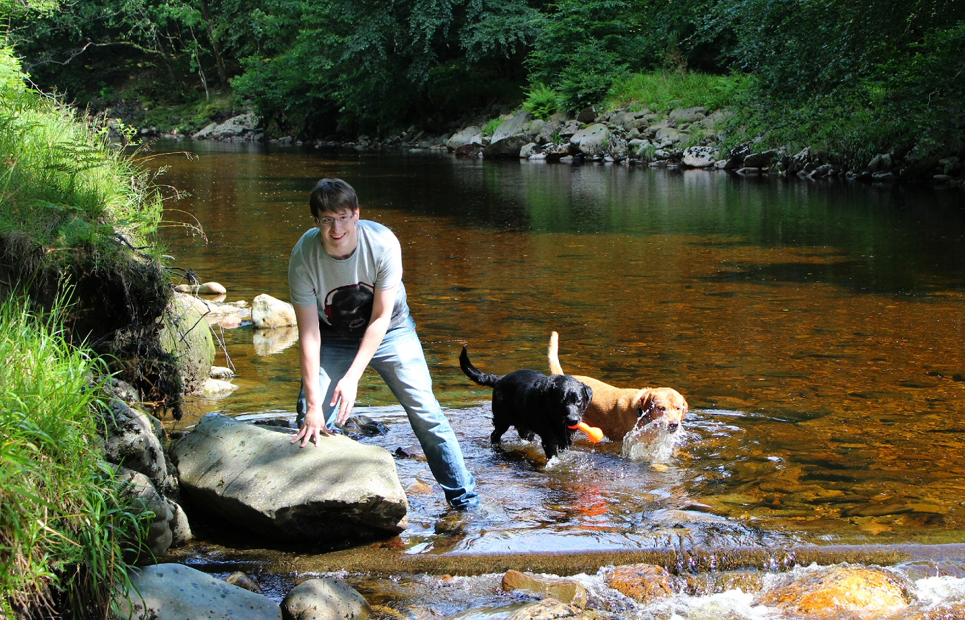 * Coed y Brenin (by AJW) *