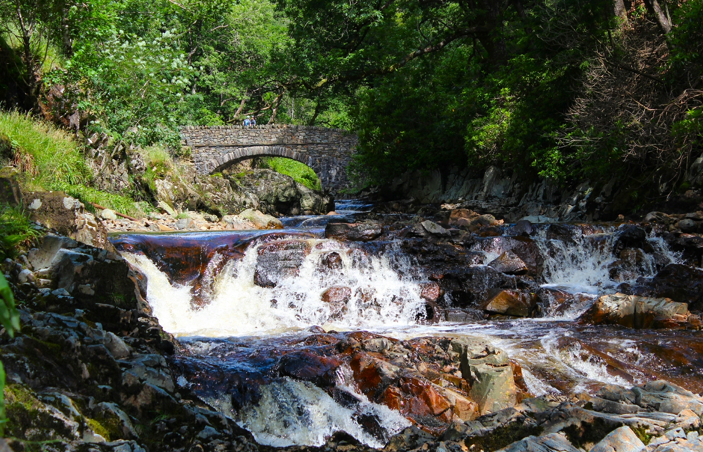 * Coed y Brenin (by AJW) *