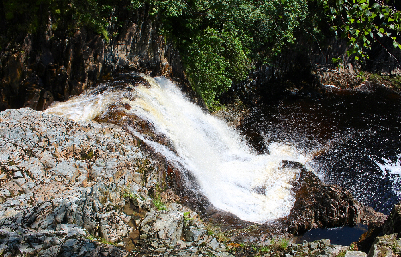 * Coed y Brenin (by AJW) *