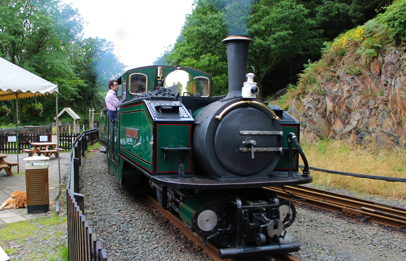 * Ffestiniog Railway (by AJW) *