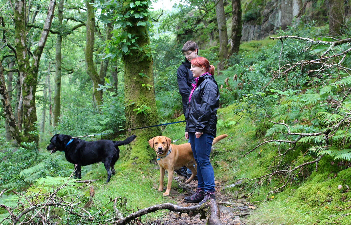* Aberglaslyn (by AJW) *