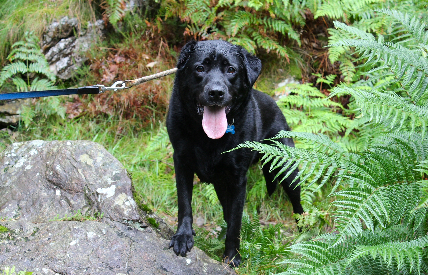 * Aberglaslyn (by AJW) *