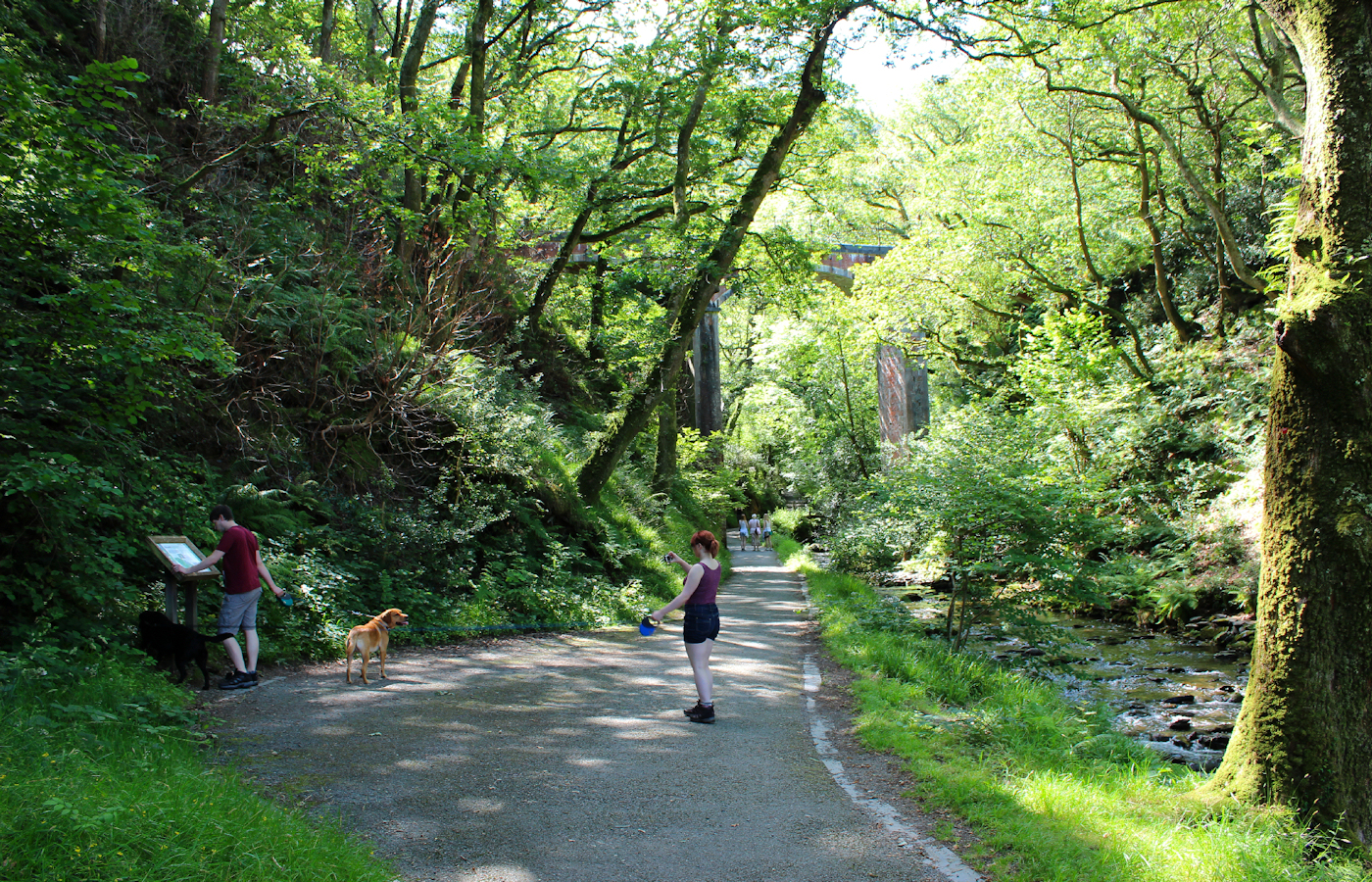 * Dolgoch (by AJW) *