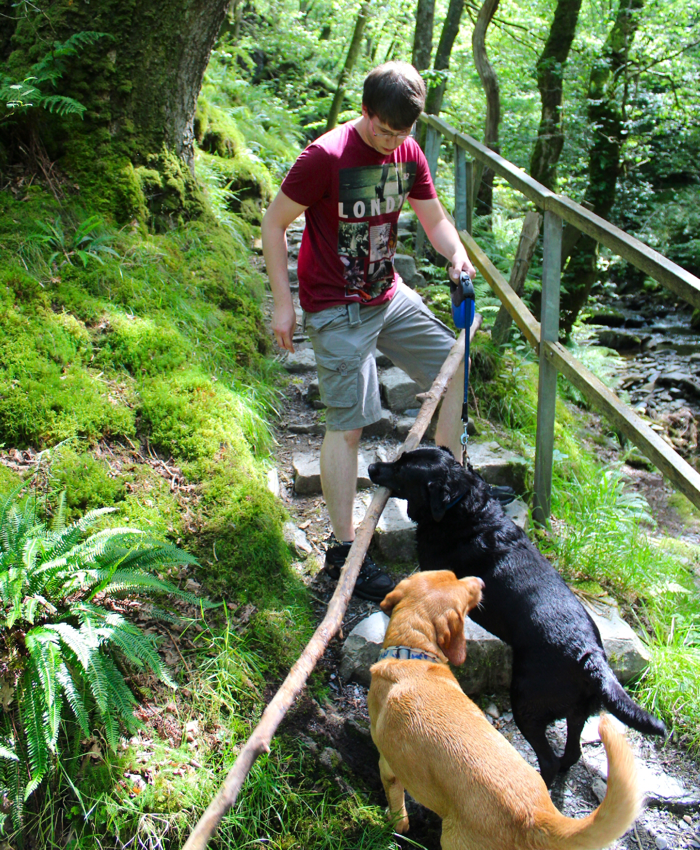 * Dolgoch (by AJW) *