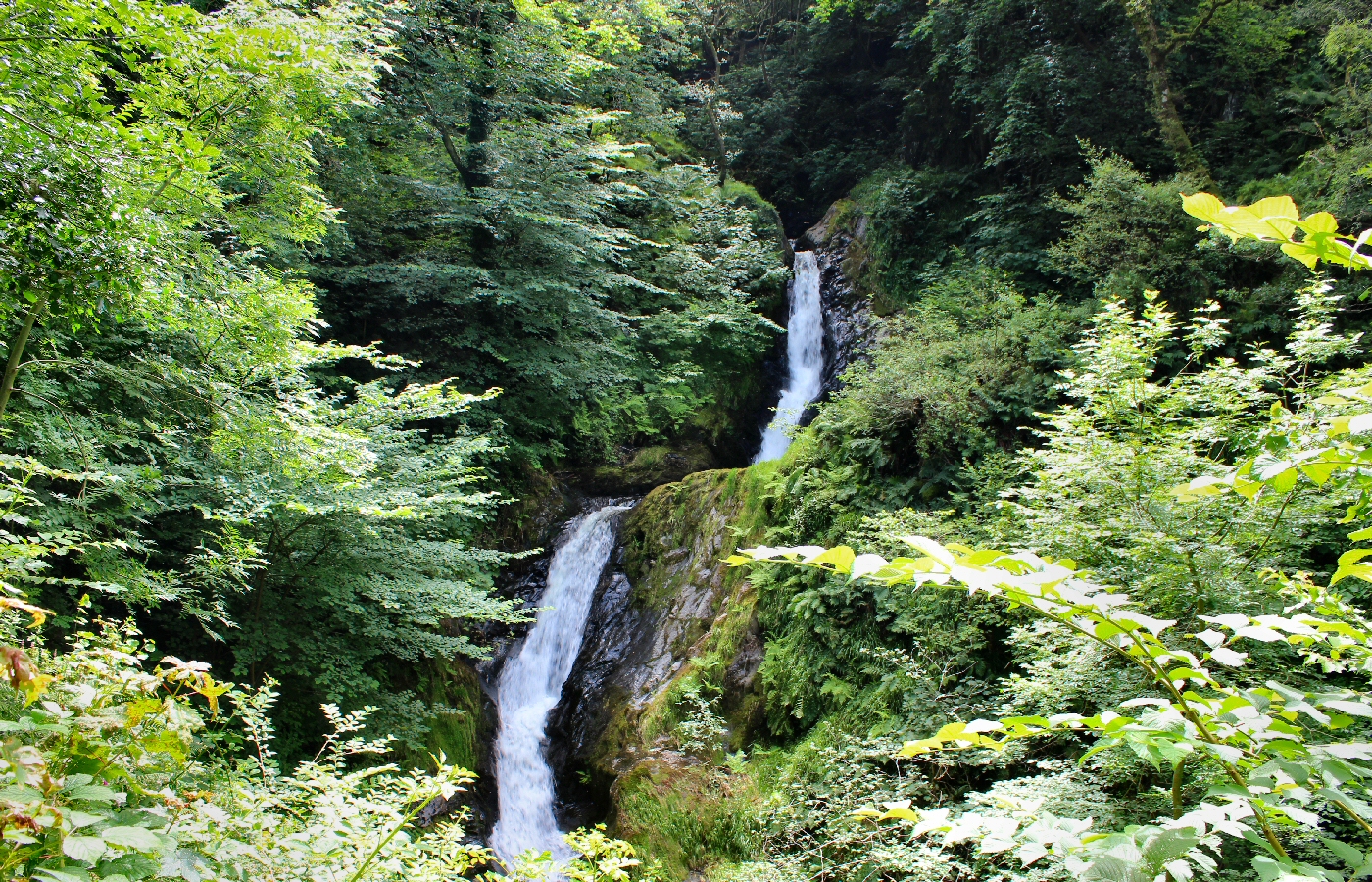 * Dolgoch (by AJW) *