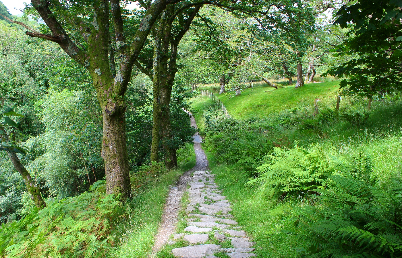 * Dolgoch (by AJW) *