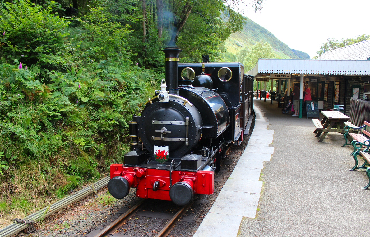 * Nant Gwernol, Abergynolwyn (by AJW) *