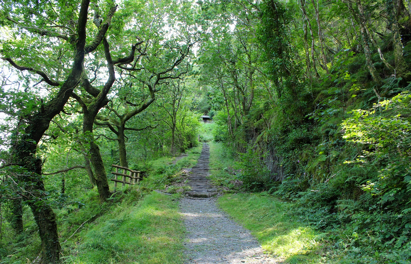 * Dolgoch (by AJW) *