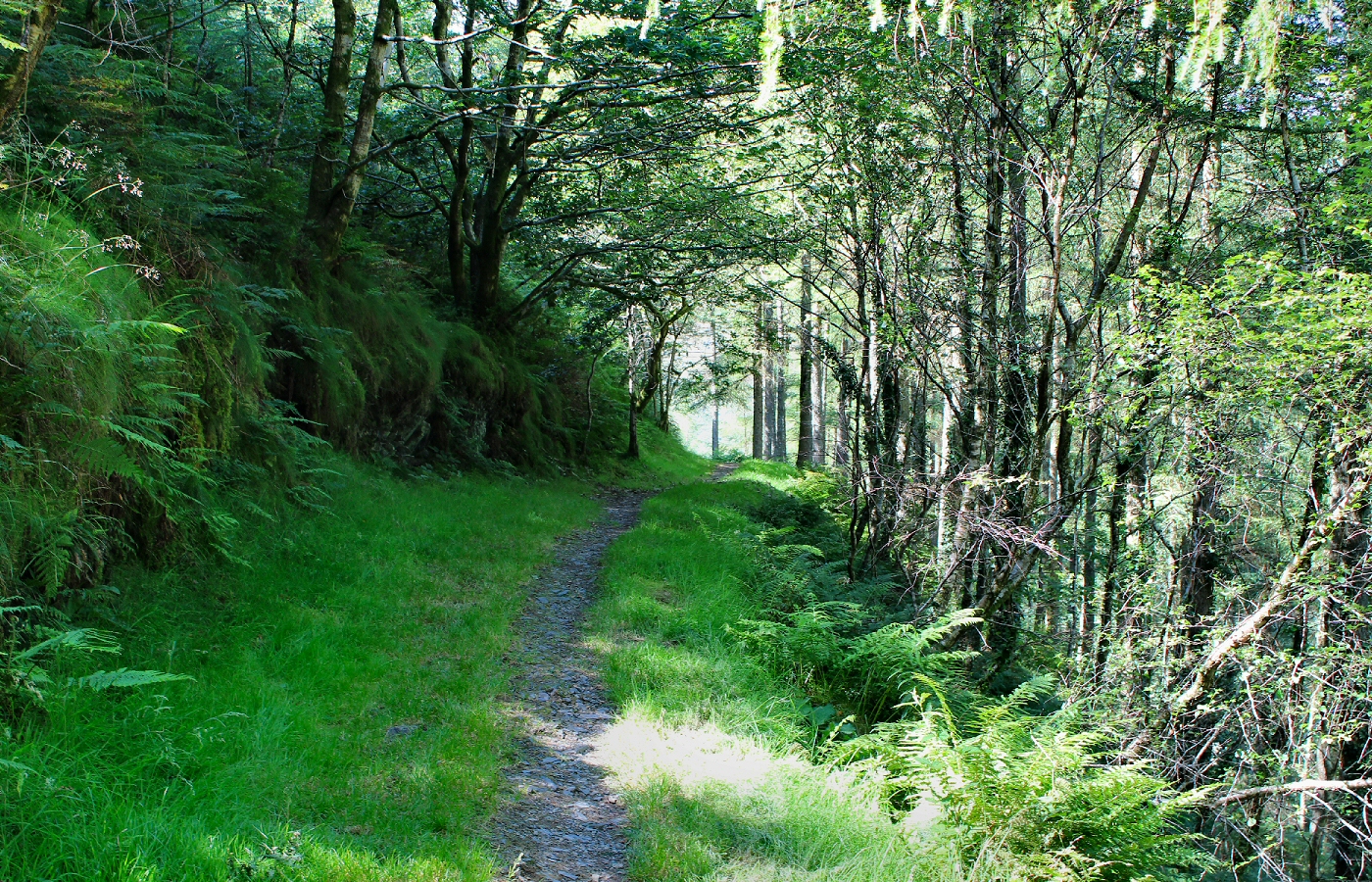 * Nant Gwernol - Abergynolwyn (by AJW) *