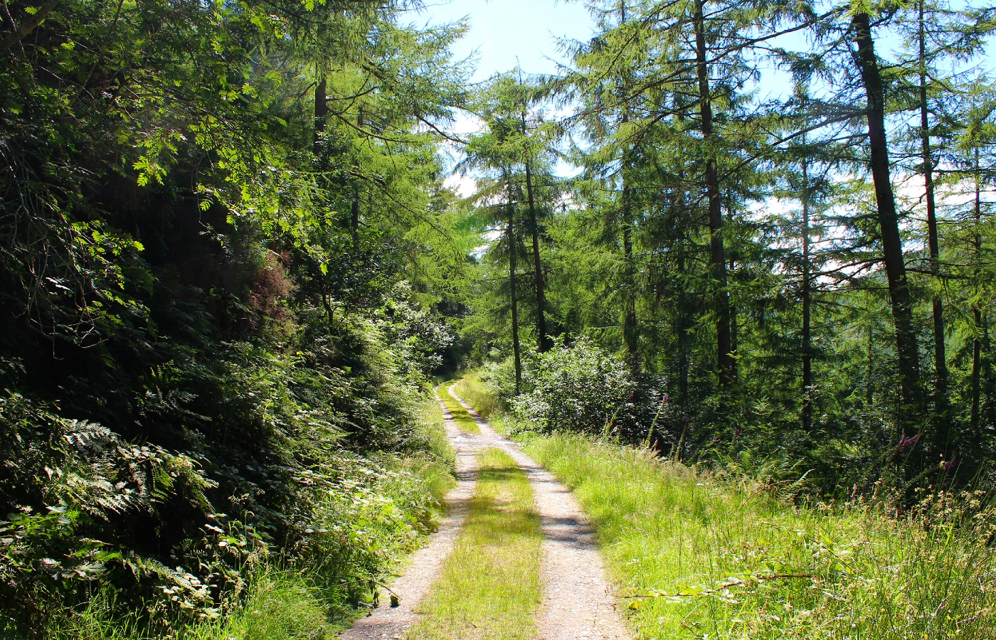 * Nant Gwernol - Abergynolwyn (by AJW) *