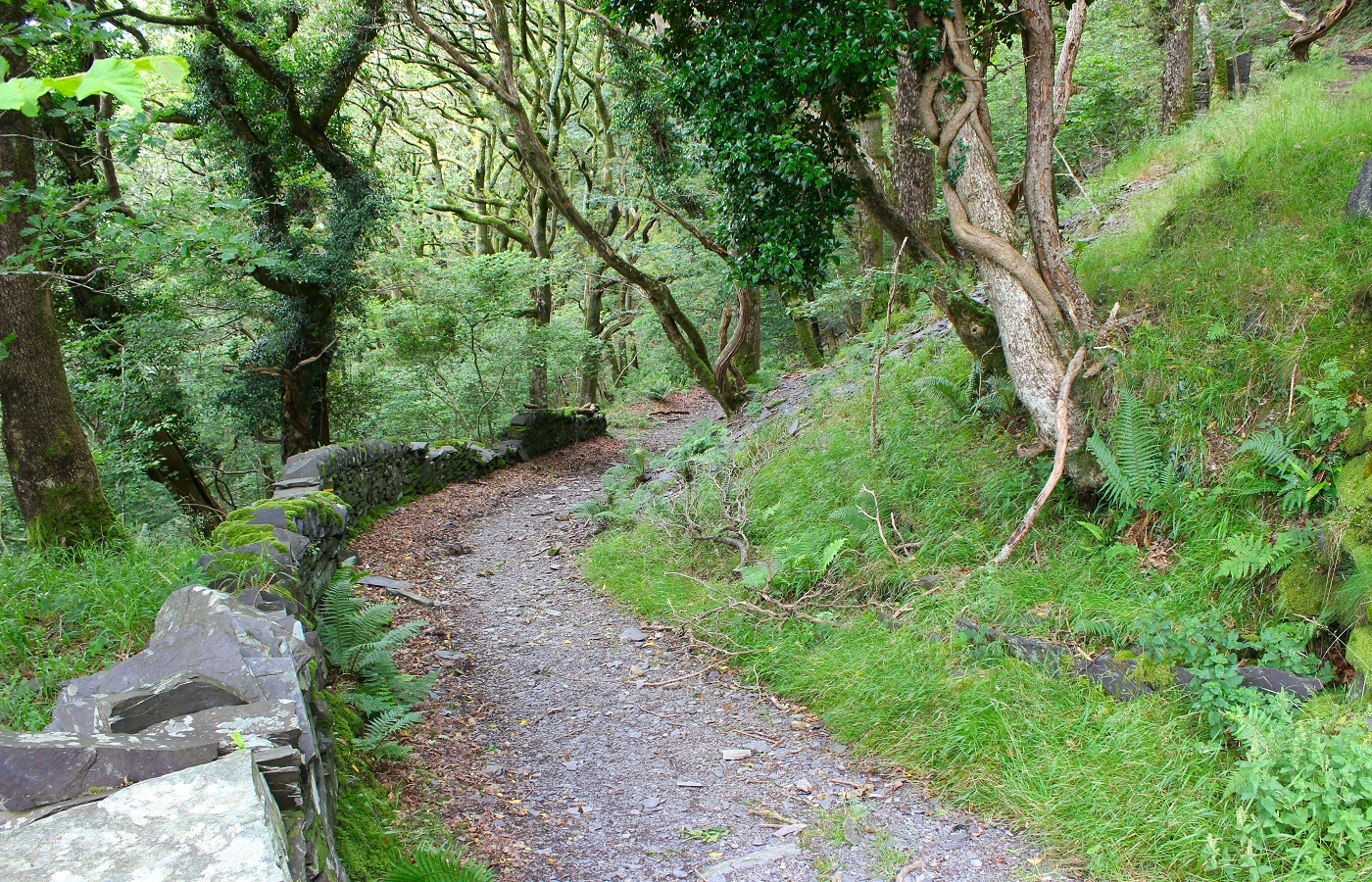 * Dinorwig (by AJW) *