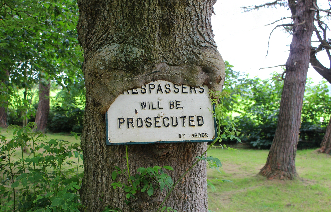 * Rhydyronen (by AJW) *