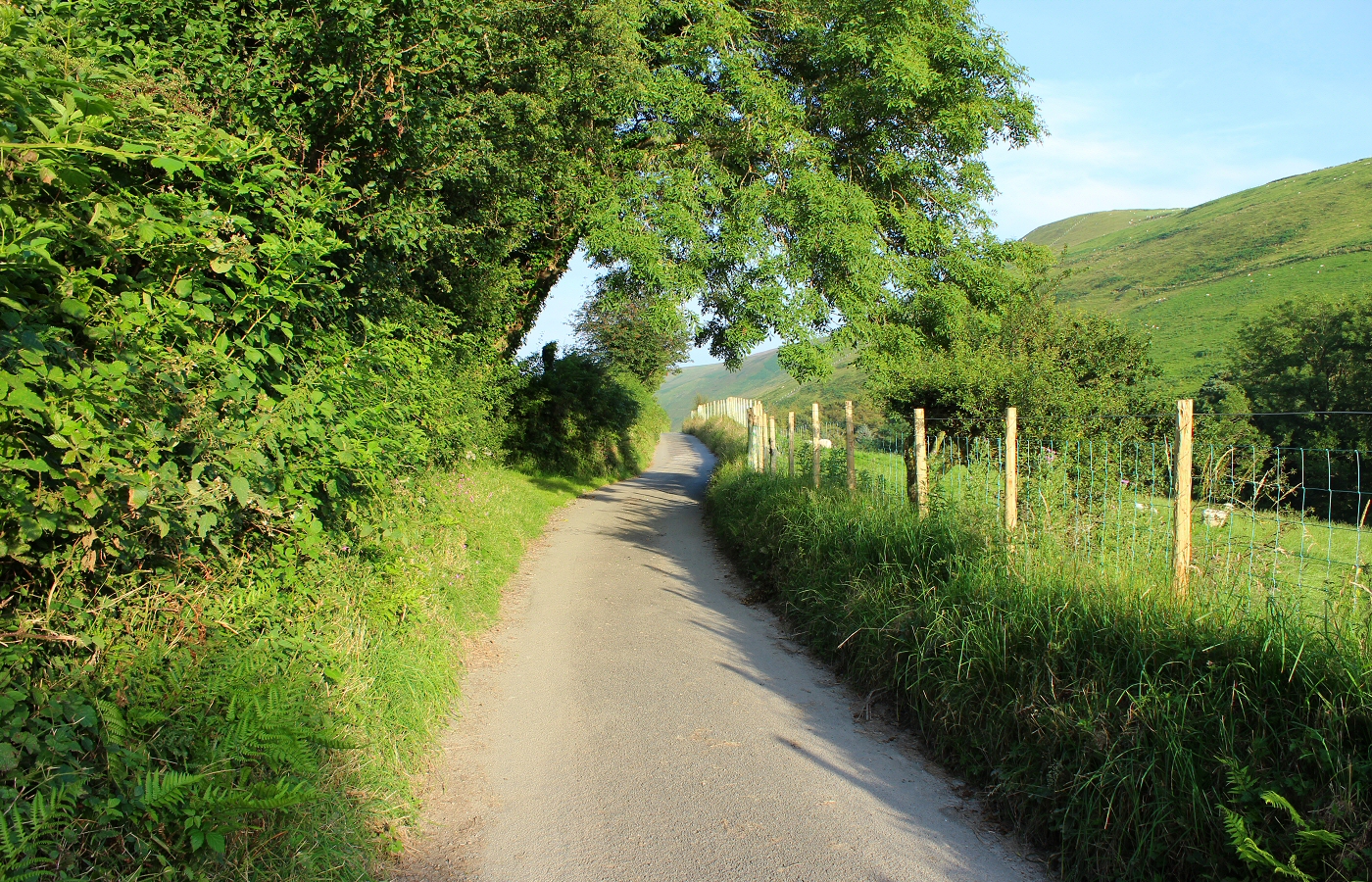 * Rhydyronen (by AJW) *