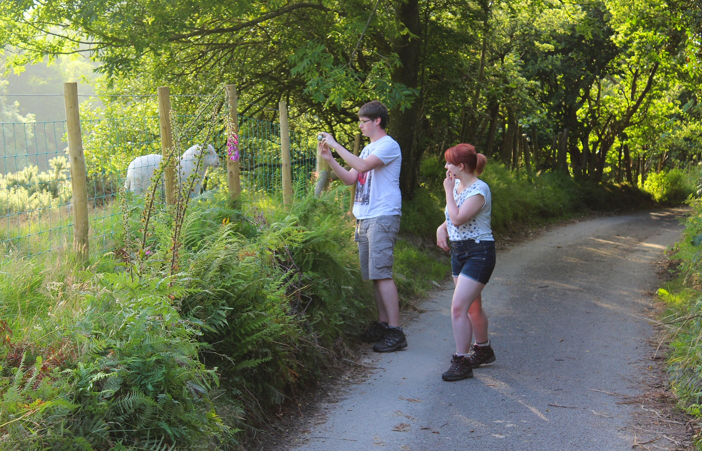 * Rhydyronen (by AJW) *