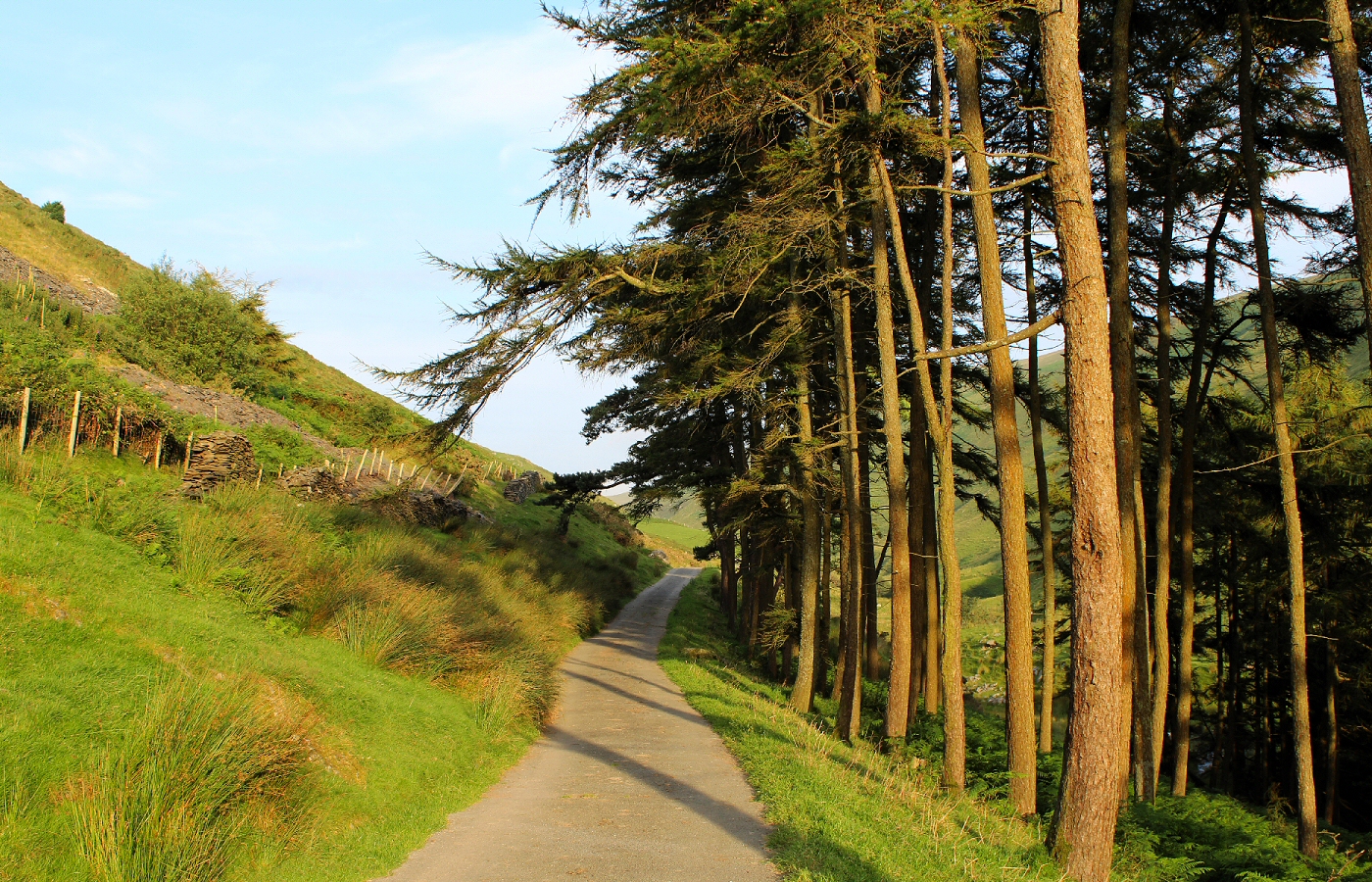 * Rhydyronen (by AJW) *