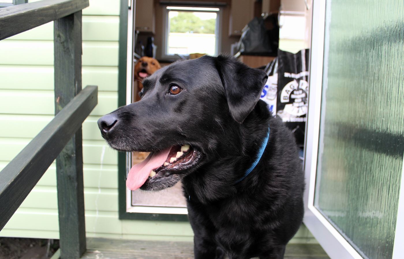 * Tynllwyn Caravan Park, Rhydyronen (by AJW) *