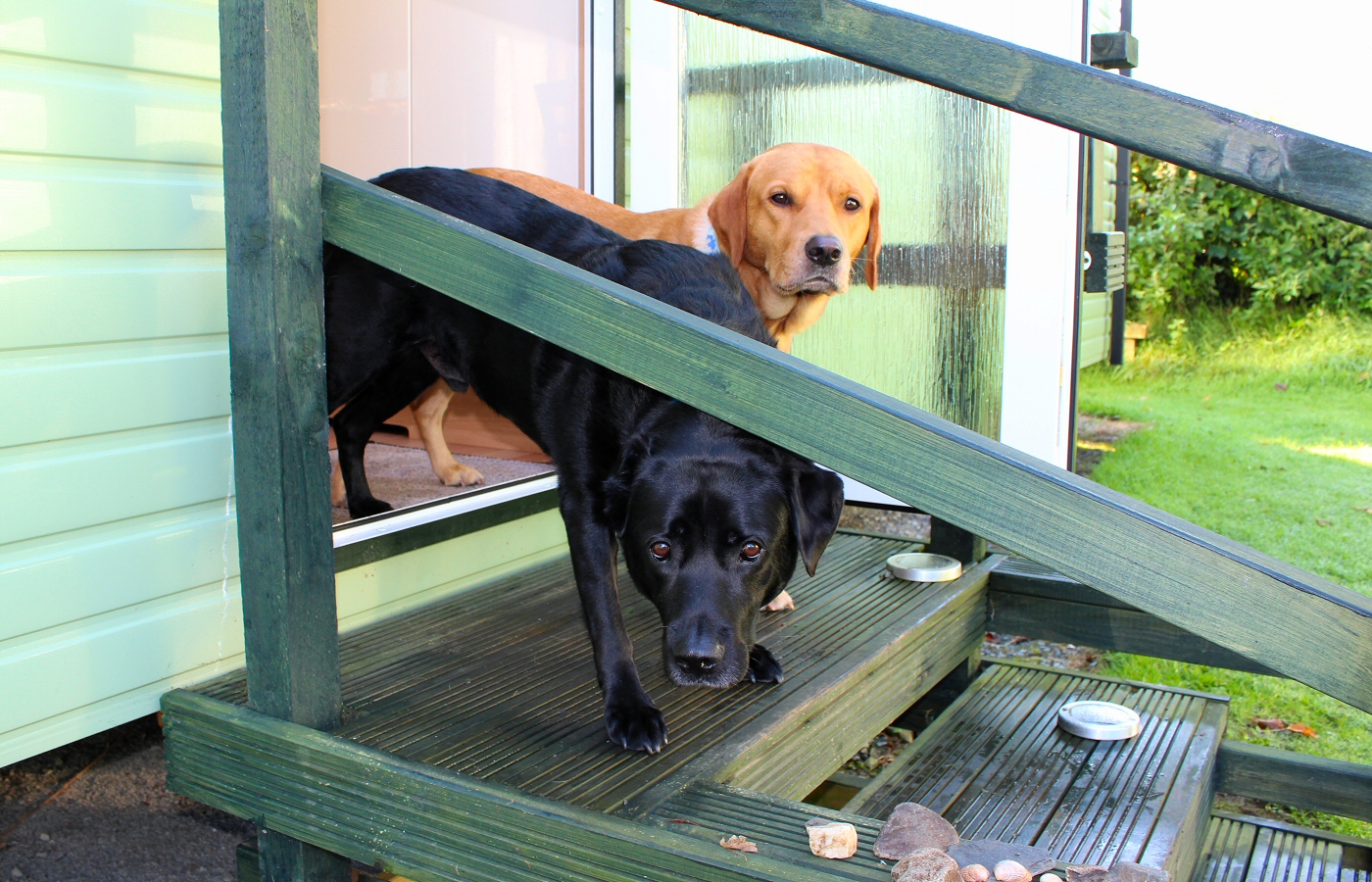 * Tynllwyn Caravan Park, Rhydyronen (by AJW) *