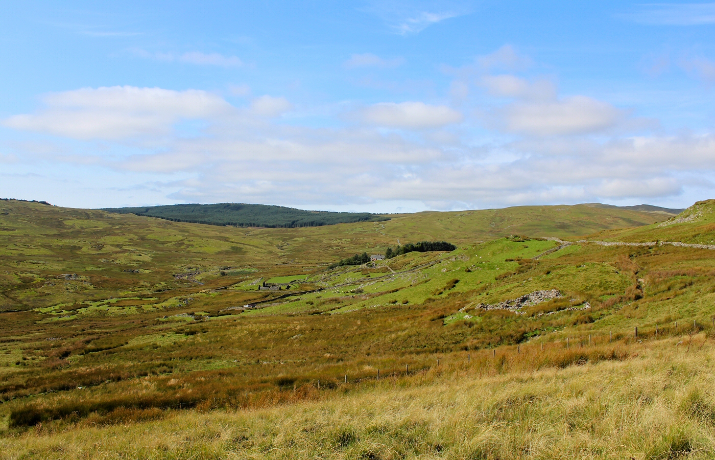 * Bronaber to Llanuwchllyn (by AJW) *