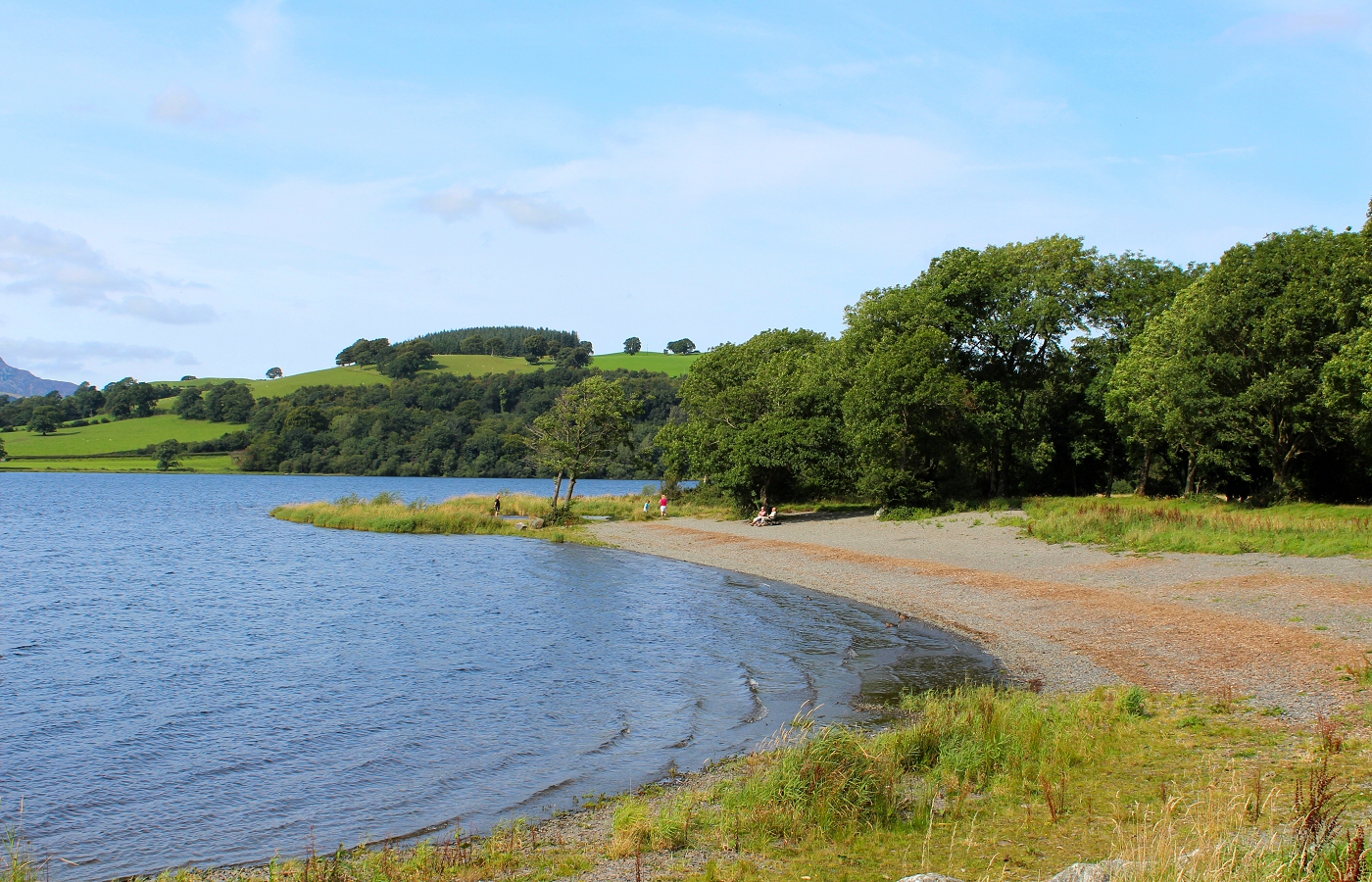 * Llangower, Llyn Tegid (by AJW) *