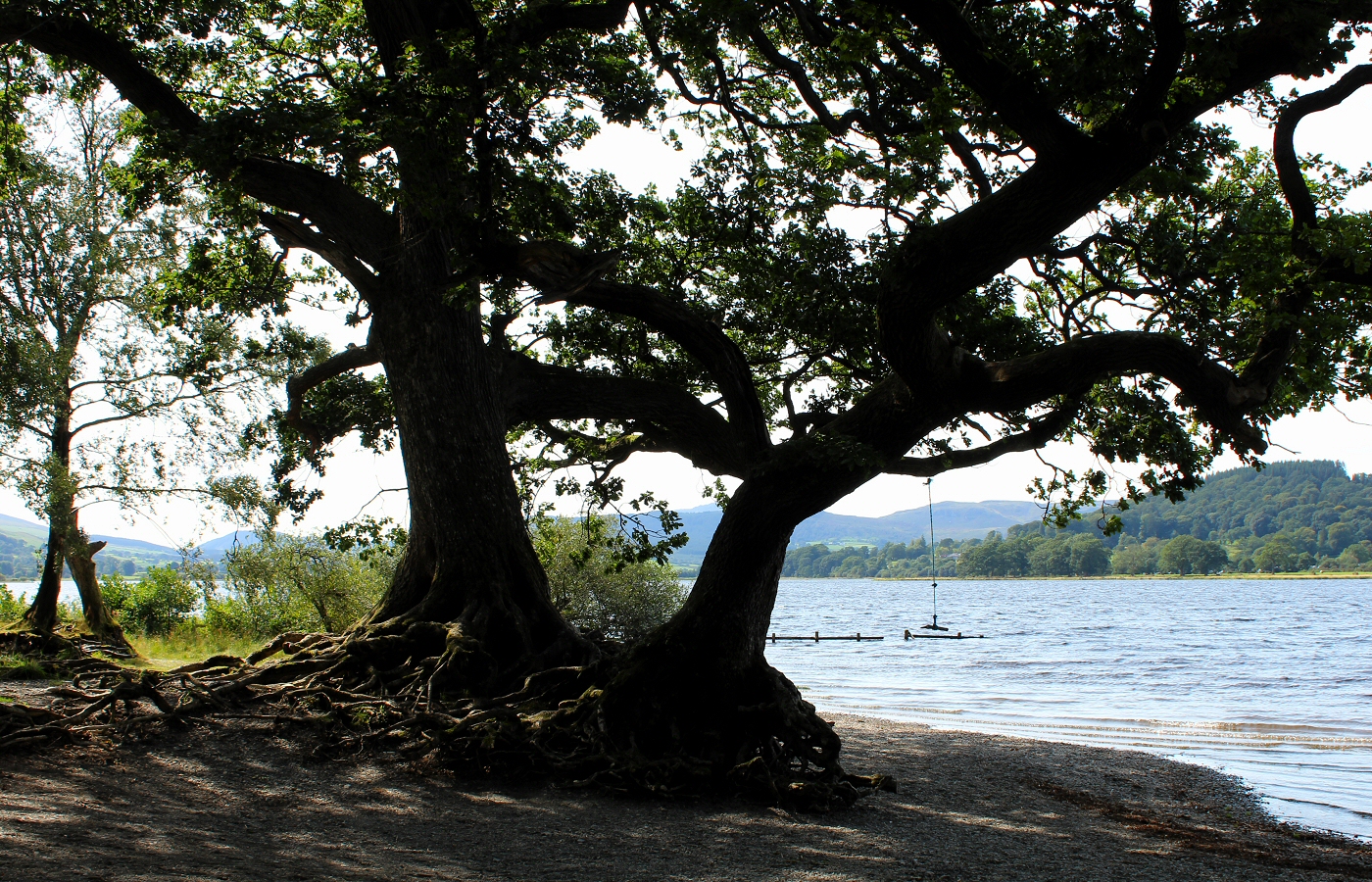 * Llangower, Llyn Tegid (by AJW) *