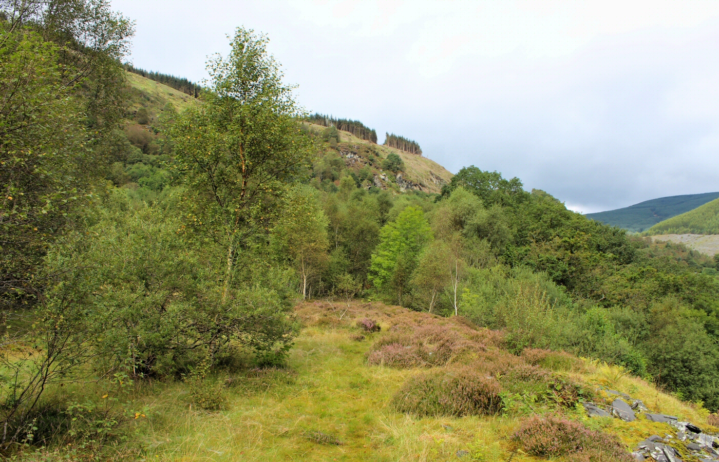 * Braich Goch, Corris (by AJW) *