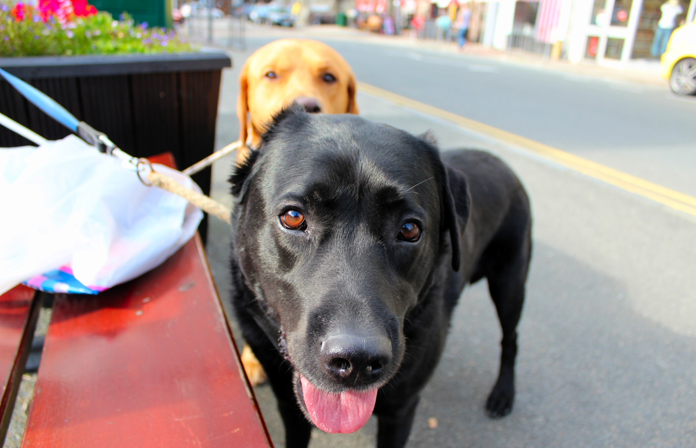 * Barmouth (by AJW) *
