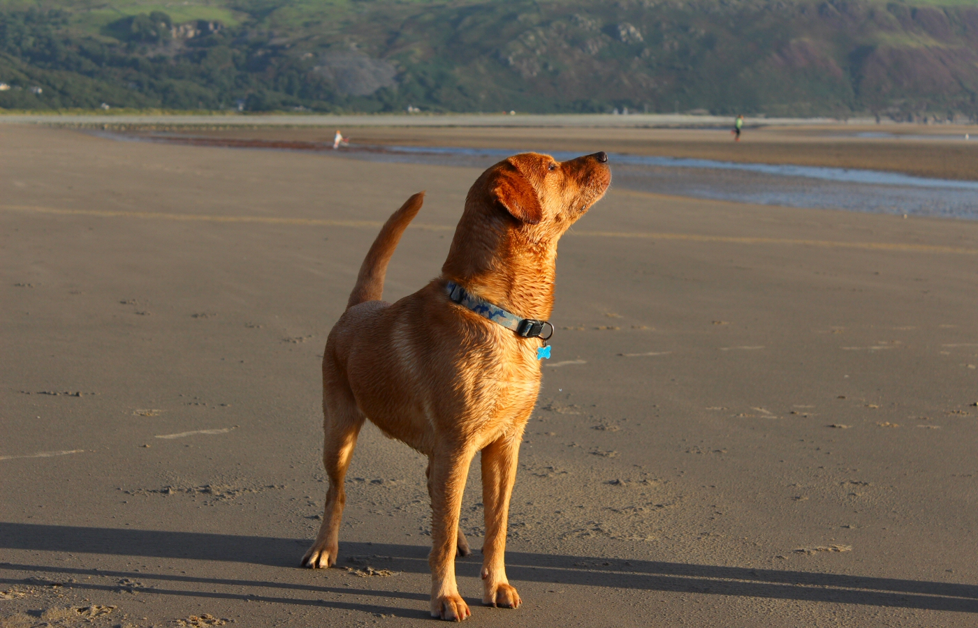 * Barmouth (by AJW) *