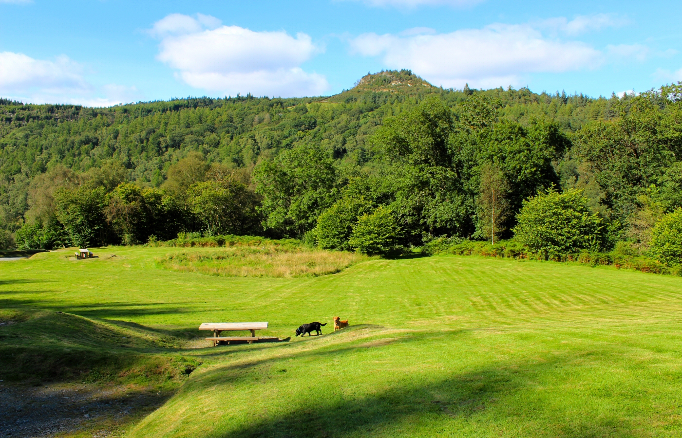 * Caen y Coed, Betws-y-Coed (by AJW) *