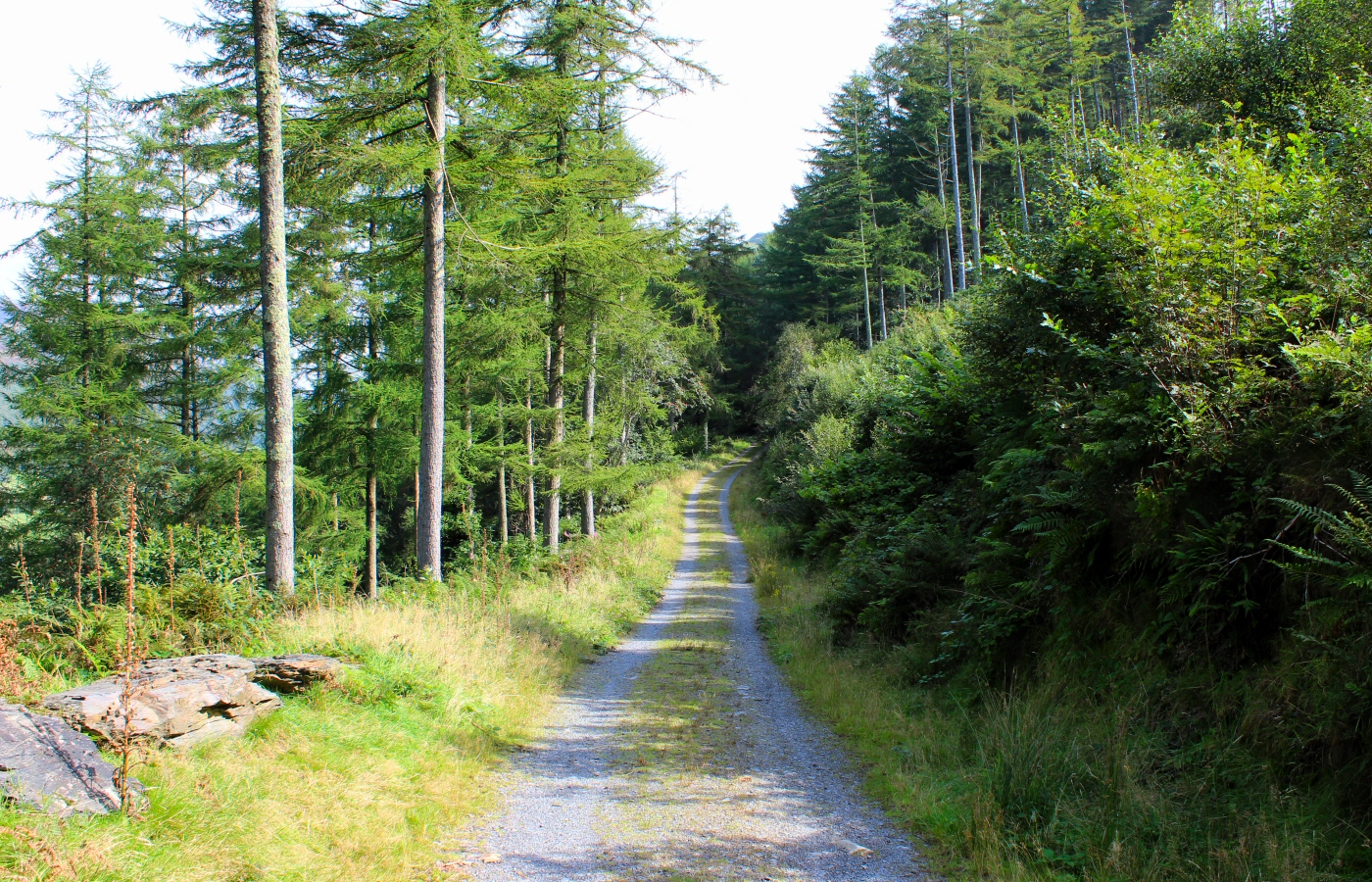 * Bryn Eglwys - Abergynolwyn (by AJW) *