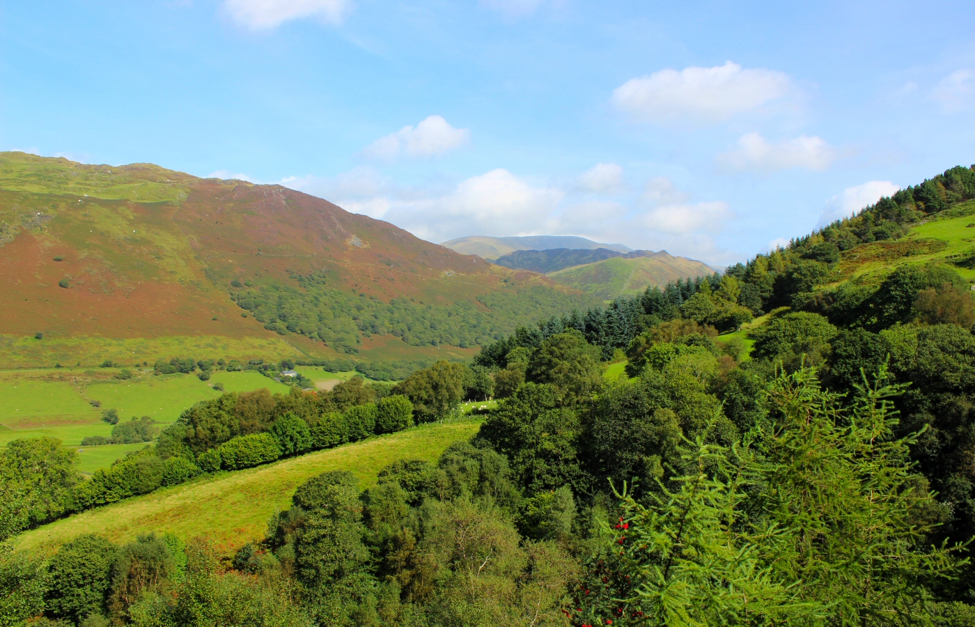 * Bryn Eglwys - Abergynolwyn (by AJW) *