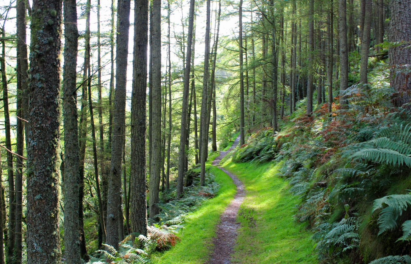 * Bryn Eglwys - Abergynolwyn - Alltwyllt Incline - Nant Gwernol station (by AJW) *