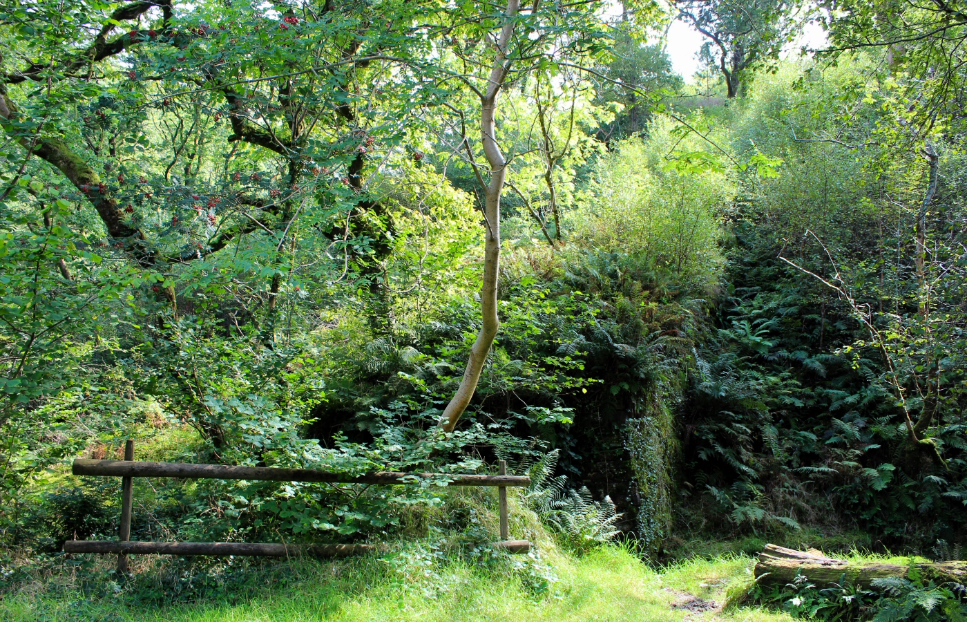 * Bryn Eglwys Quarry - Abergynolwyn - Galltymoelfre Tramway (by AJW) *