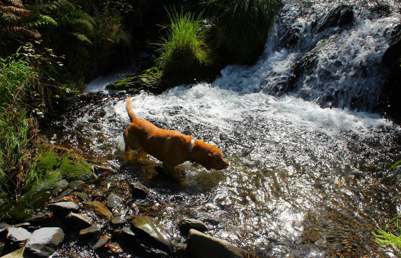 * Bryn Eglwys Quarry - Abergynolwyn - Galltymoelfre Tramway (by AJW) *