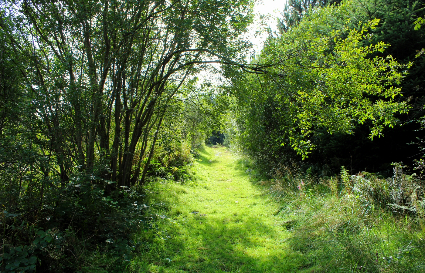 * Bryn Eglwys Quarry - Abergynolwyn - Galltymoelfre Tramway (by AJW) *