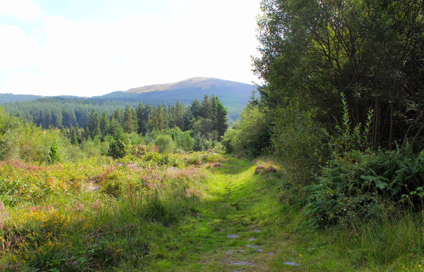 * Bryn Eglwys Quarry - Abergynolwyn - Galltymoelfre Tramway (by AJW) *