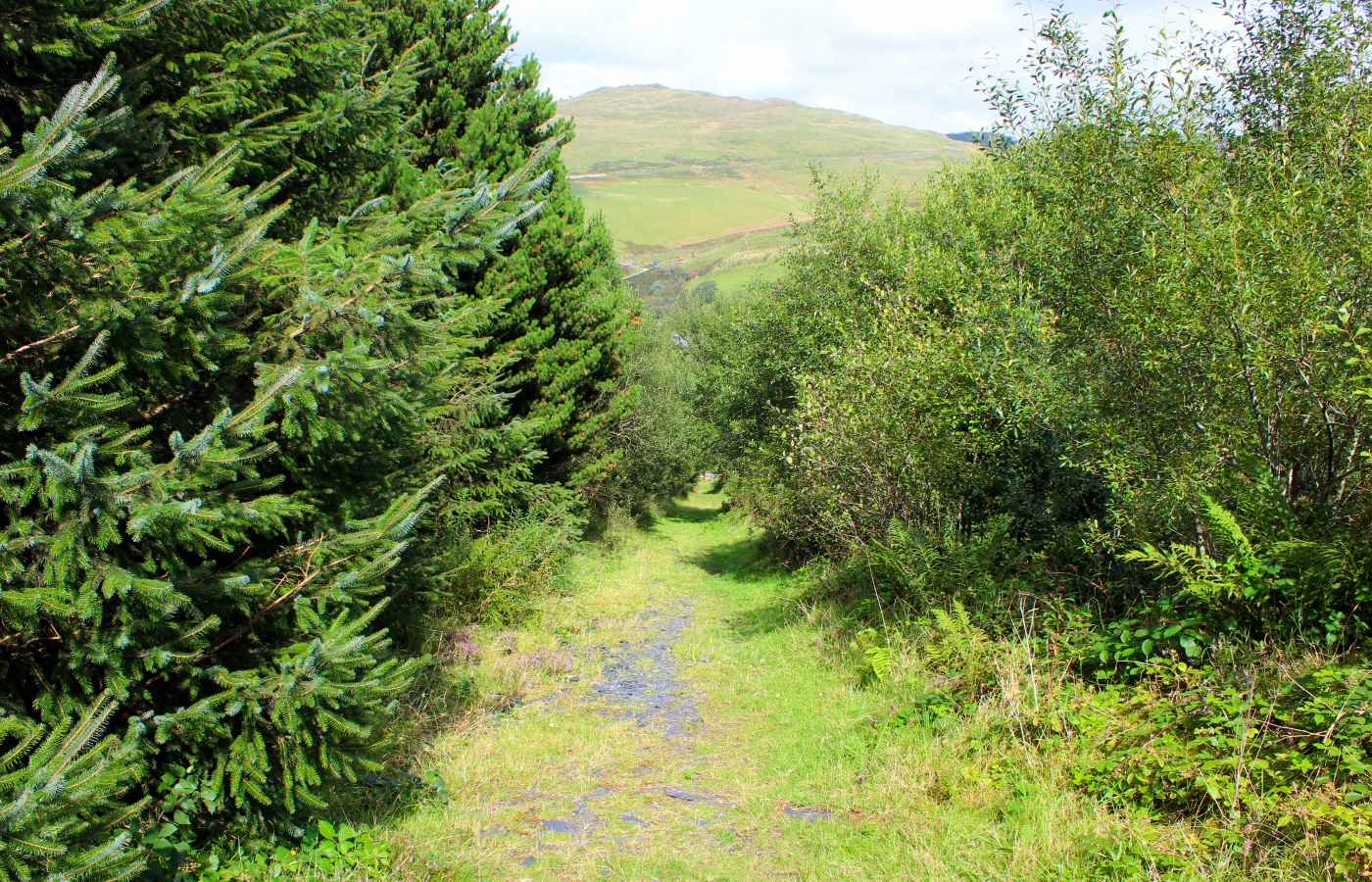 * Bryn Eglwys Quarry - Abergynolwyn - Galltymoelfre Tramway (by AJW) *
