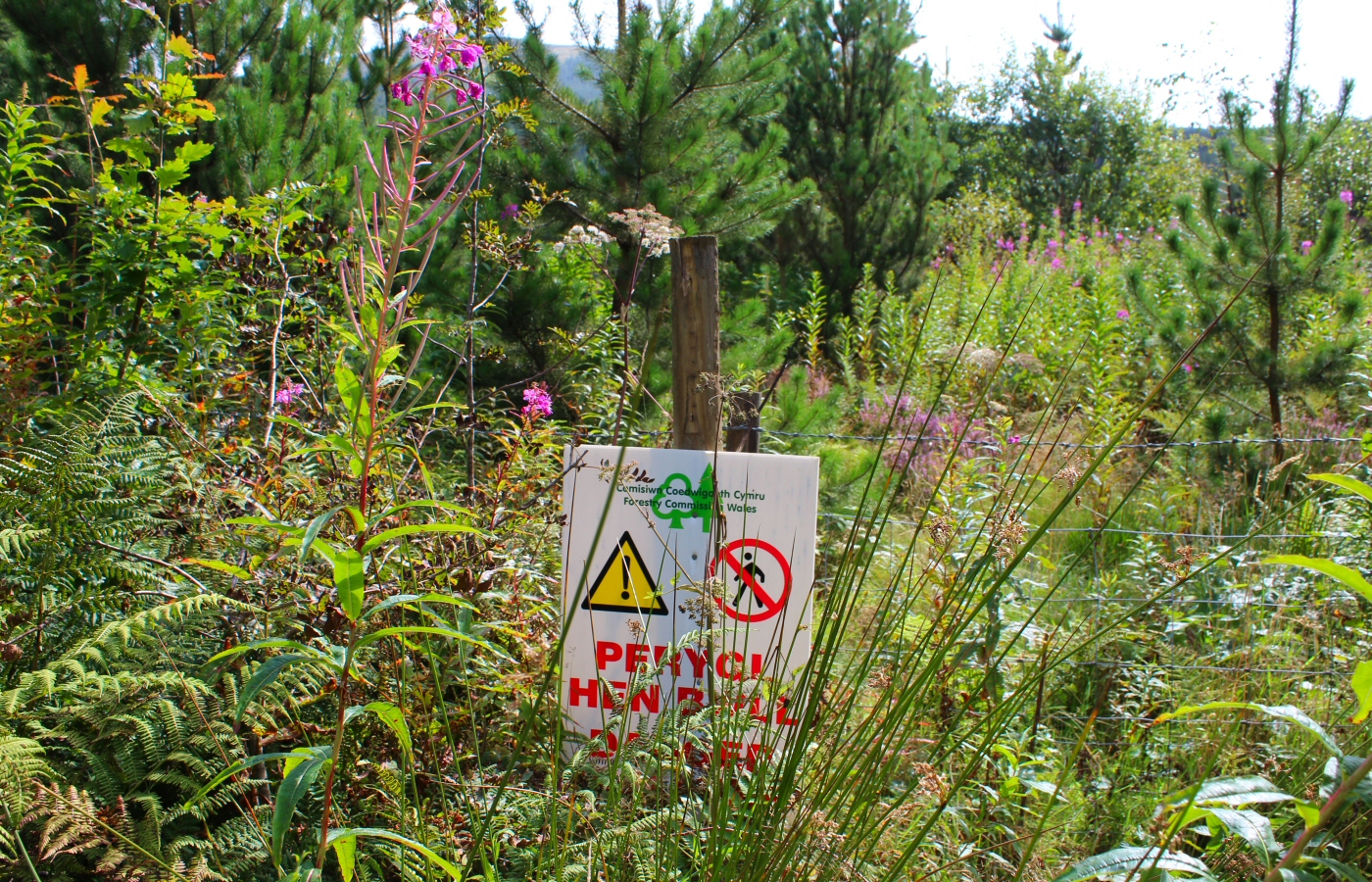 * Bryn Eglwys Quarry - Abergynolwyn - Galltymoelfre Tramway (by AJW) *