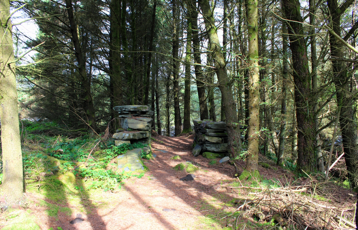* Bryn Eglwys Quarry - Abergynolwyn - Galltymoelfre Tramway (by AJW) *