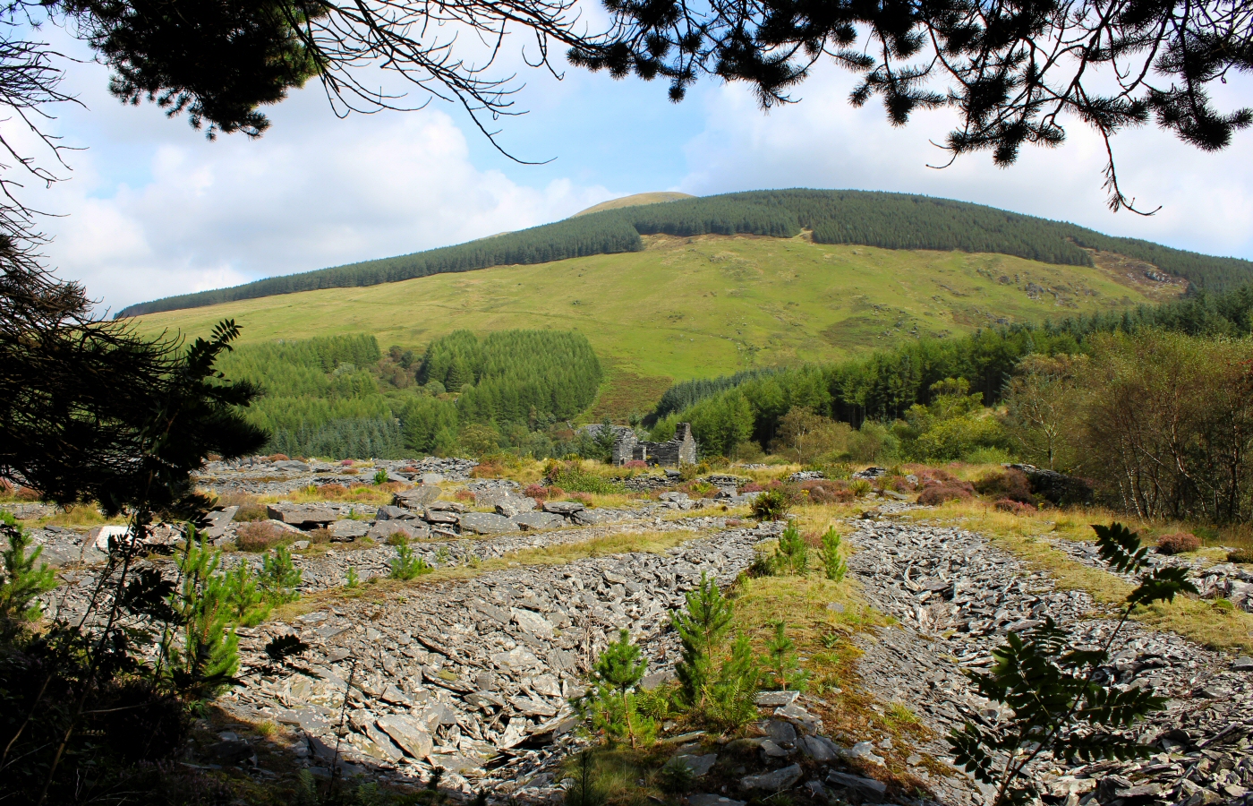 * Bryn Eglwys Quarry - Abergynolwyn - Galltymoelfre Tramway (by AJW) *