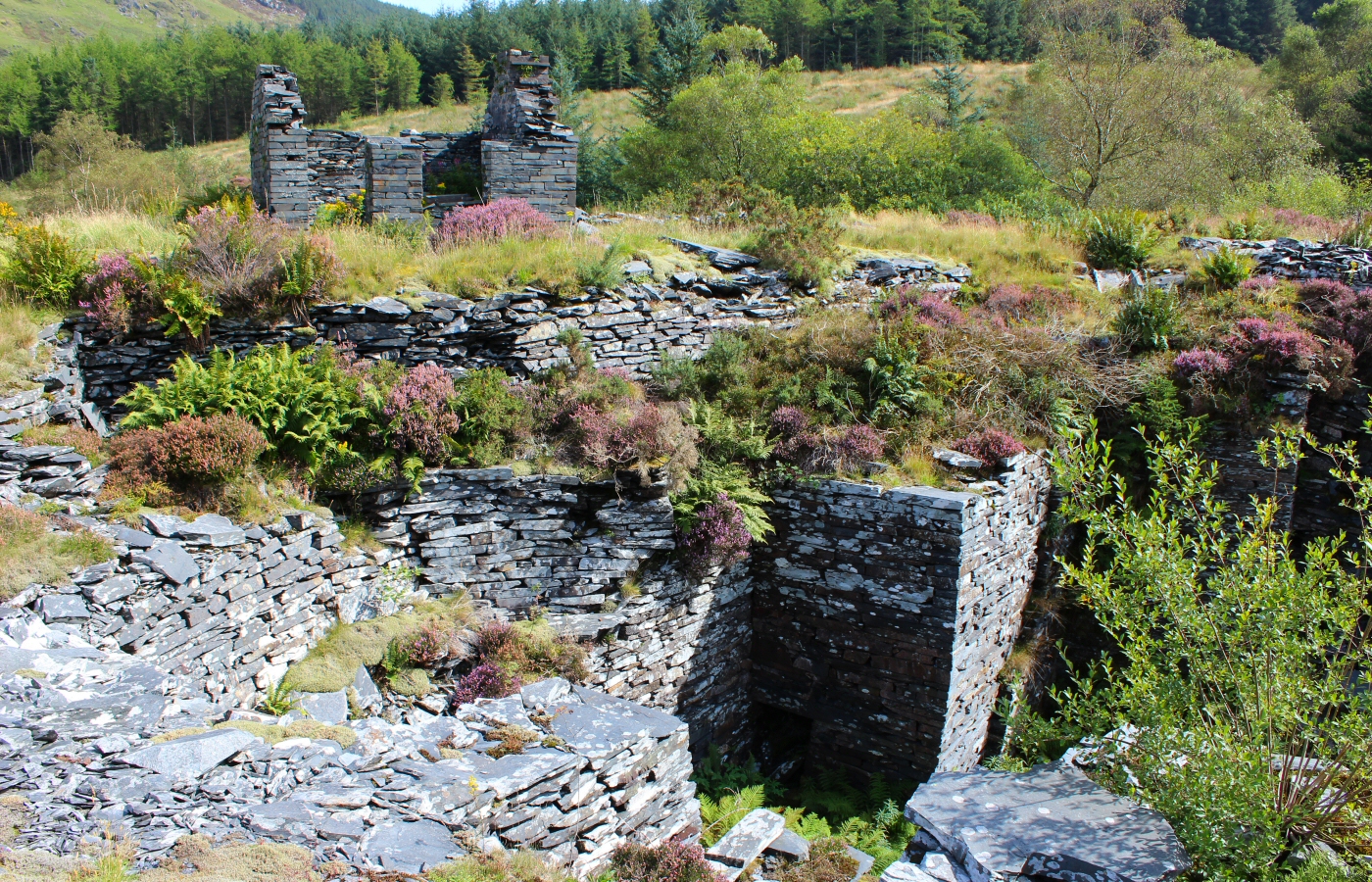 * Bryn Eglwys Quarry - Abergynolwyn - Galltymoelfre Tramway (by AJW) *