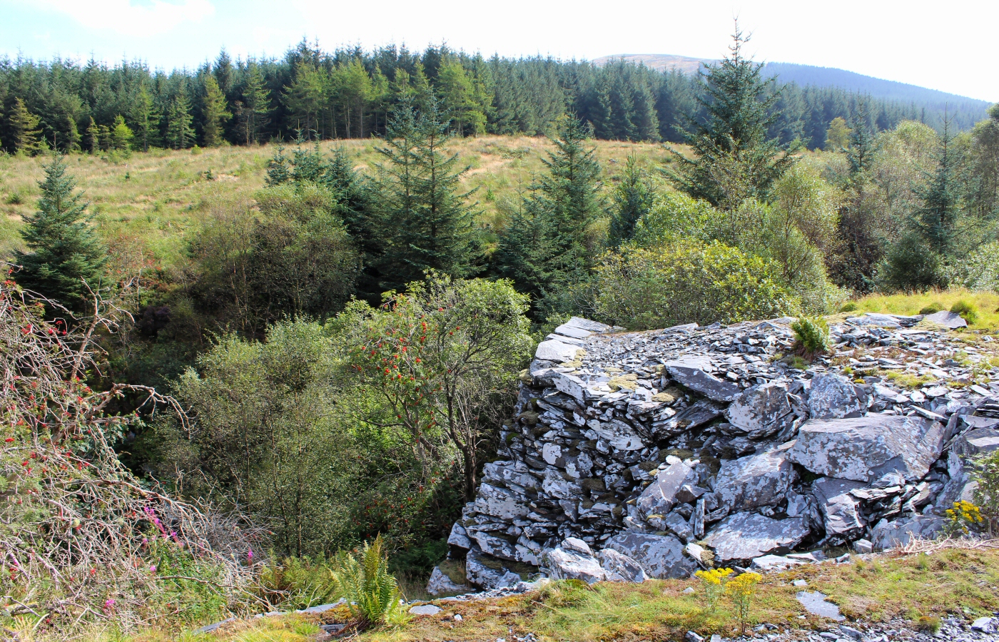 * Bryn Eglwys Quarry - Abergynolwyn - Galltymoelfre Tramway (by AJW) *