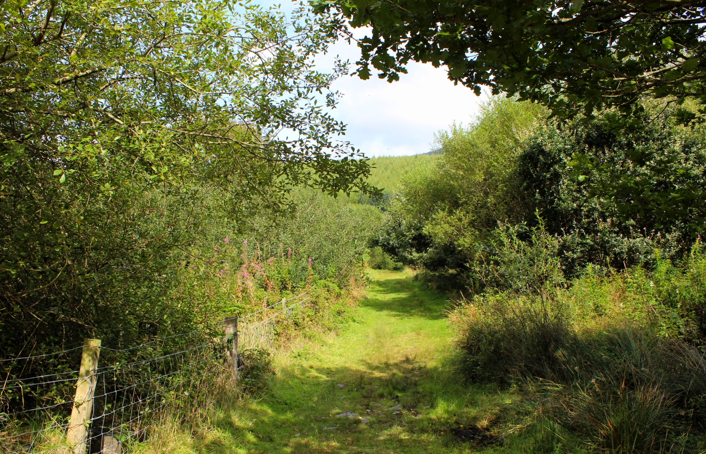 * Bryn Eglwys Quarry - Abergynolwyn - Galltymoelfre Tramway (by AJW) *