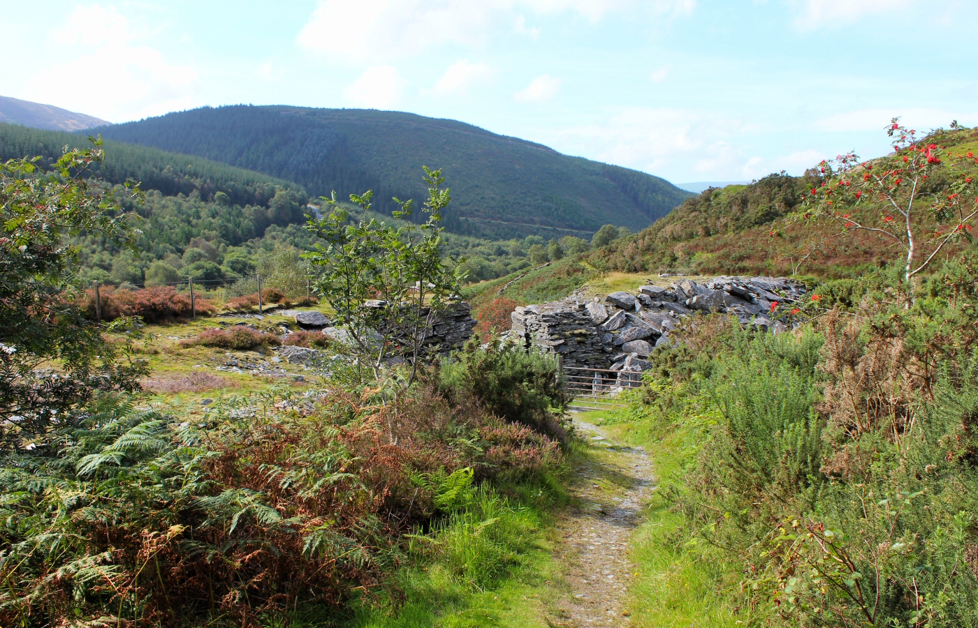 * Bryn Eglwys Quarry - Abergynolwyn - Galltymoelfre Tramway (by AJW) *