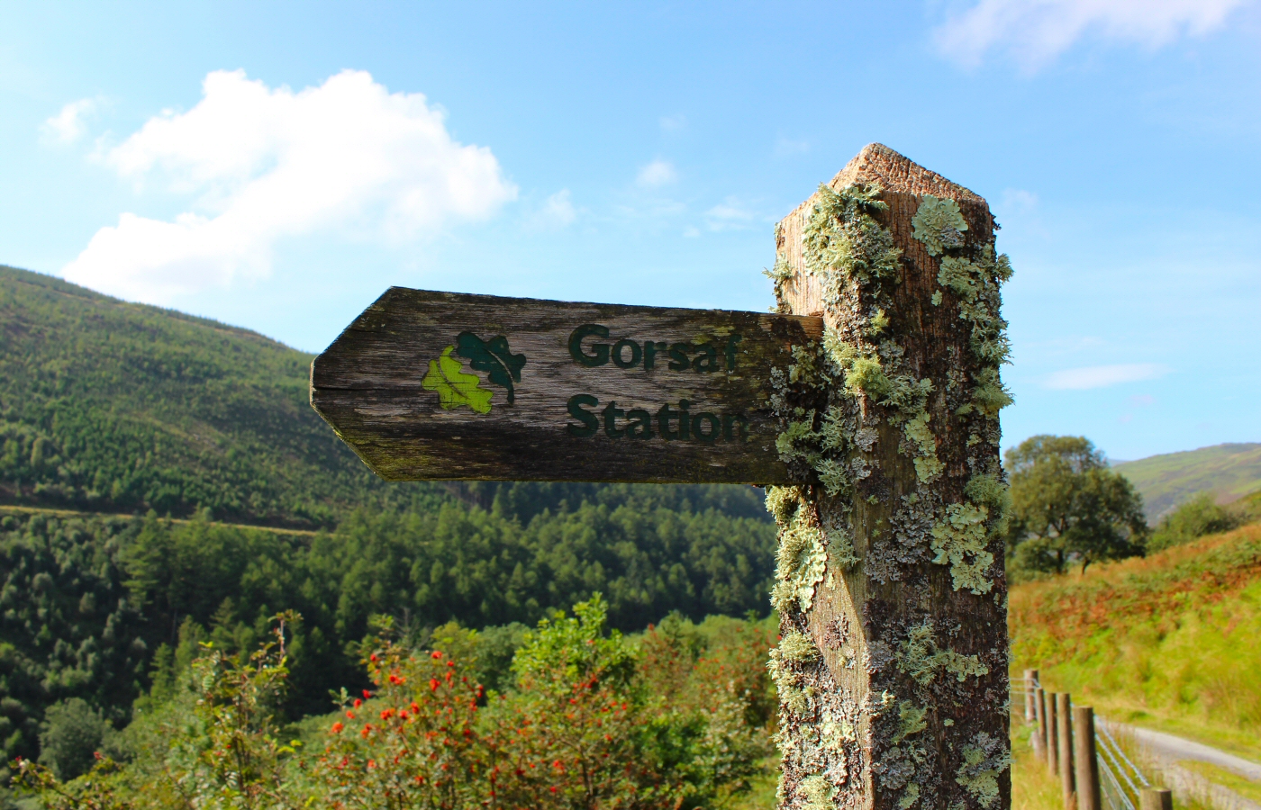 * Bryn Eglwys Quarry - Abergynolwyn - Galltymoelfre Tramway (by AJW) *