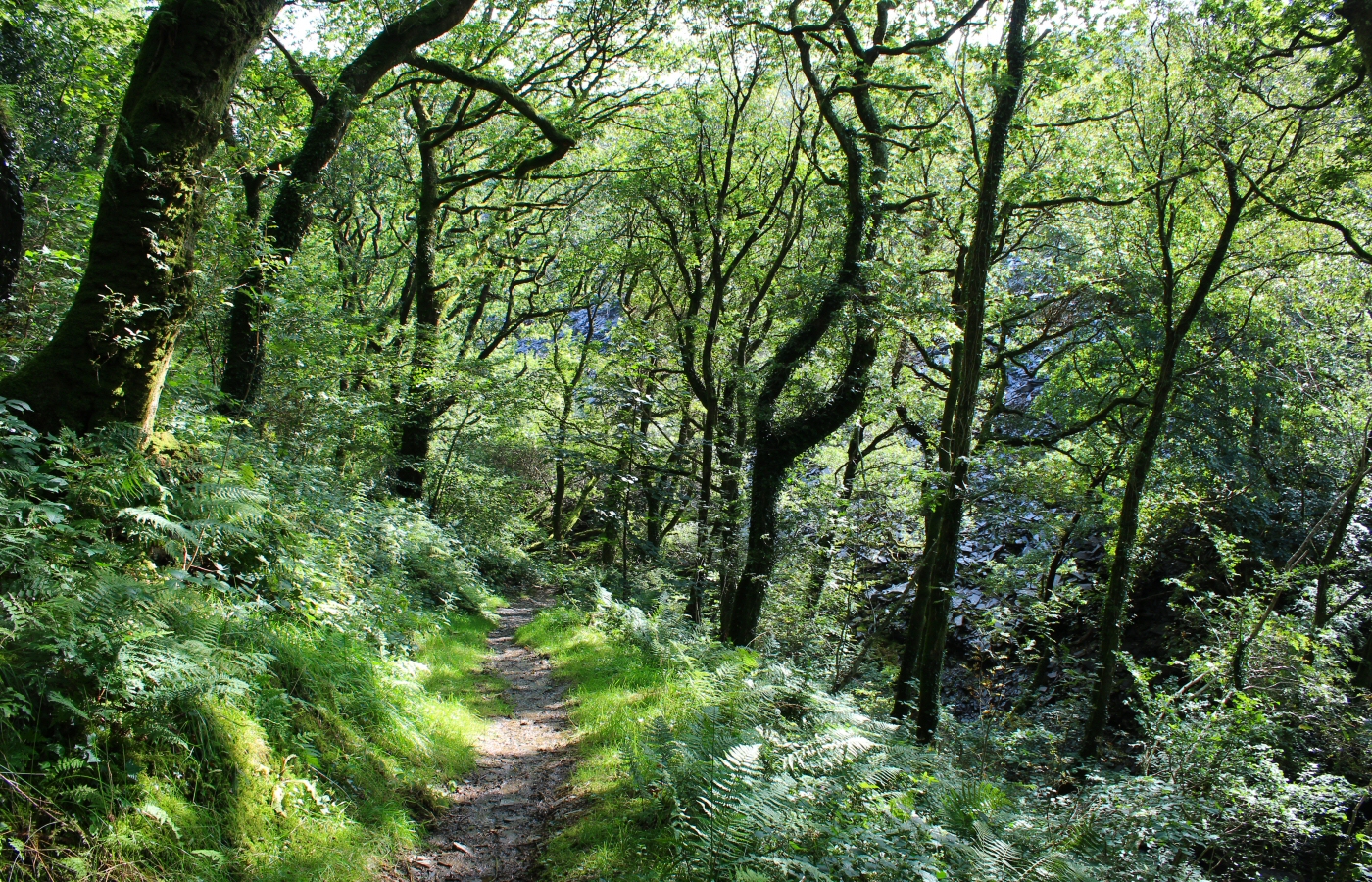 * Bryn Eglwys Quarry - Abergynolwyn - Galltymoelfre Tramway (by AJW) *