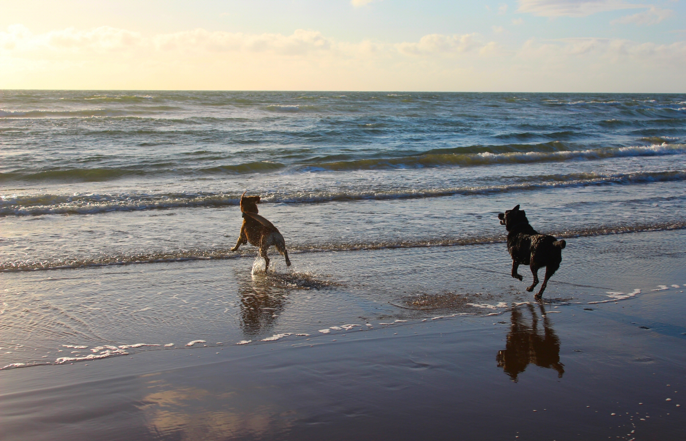 * Barmouth - Ynys-y-Brawd (by AJW) *